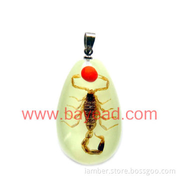Real Insect Inside Amber  Necklace Jewellery , So Eye-catching